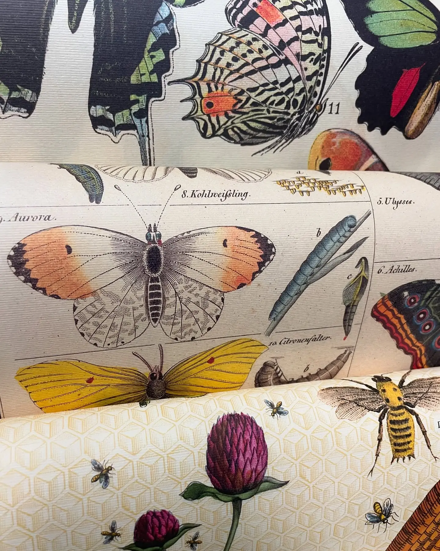 Stationery & Paper Goods at A Bit of Earth