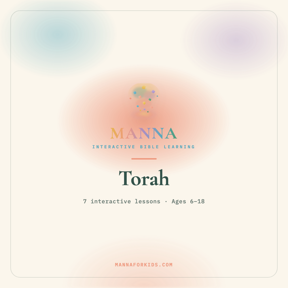 Torah cover