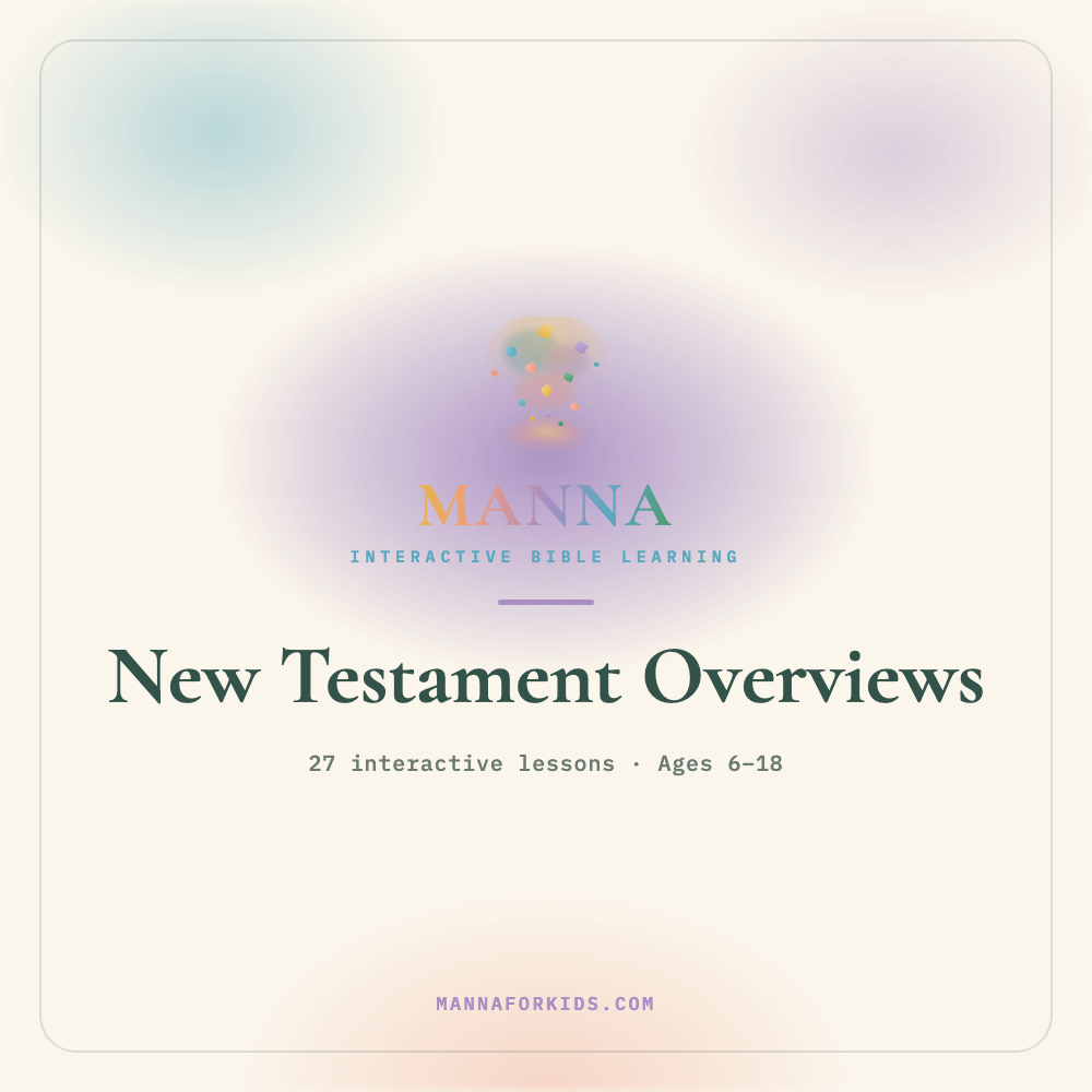 New Testament Overviews cover