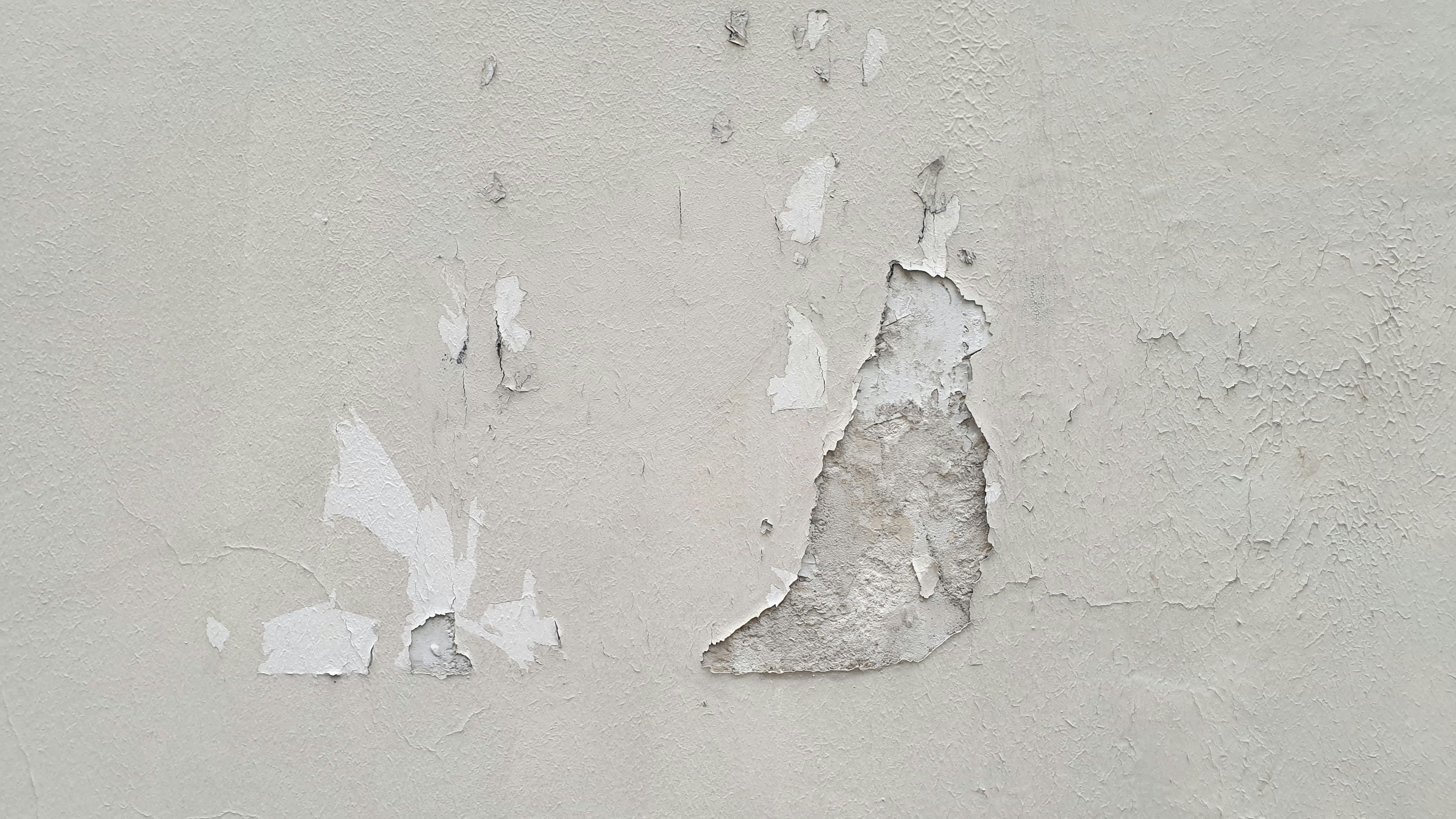 Patch and Repair Central Coast
