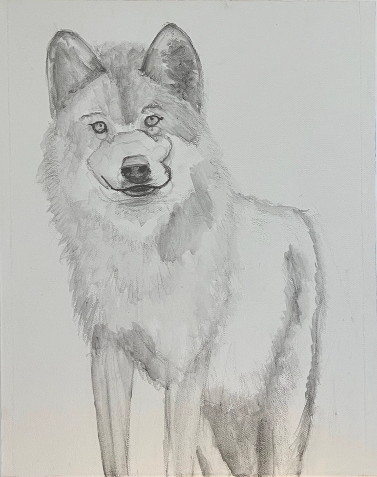 Aesop's Wolf-Dog? by Tina Summers Underpainting graphite sketch layer Aesop's Wolf-Dog? by Tina Summers Underpainting graphite sketch layer
