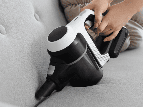 Pet Hair Removal in Pleasant Hill