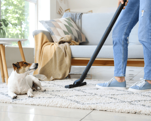 Cleaners Pleasant Hill