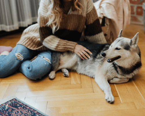 Pleasant Hill Pet Care & Sitting Services