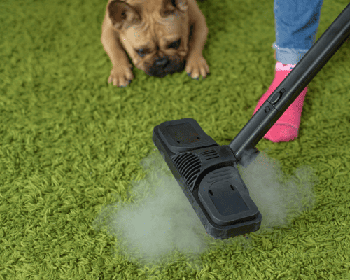 San Ramon Pet Hair Removal