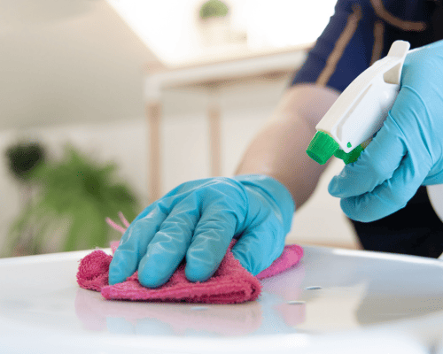 Mountain View Pet Hair Removal