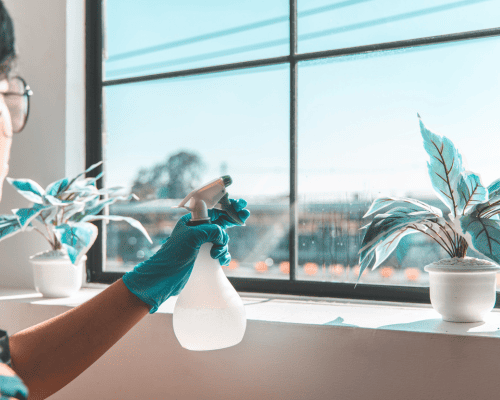 San Pablo Pet Hair Removal