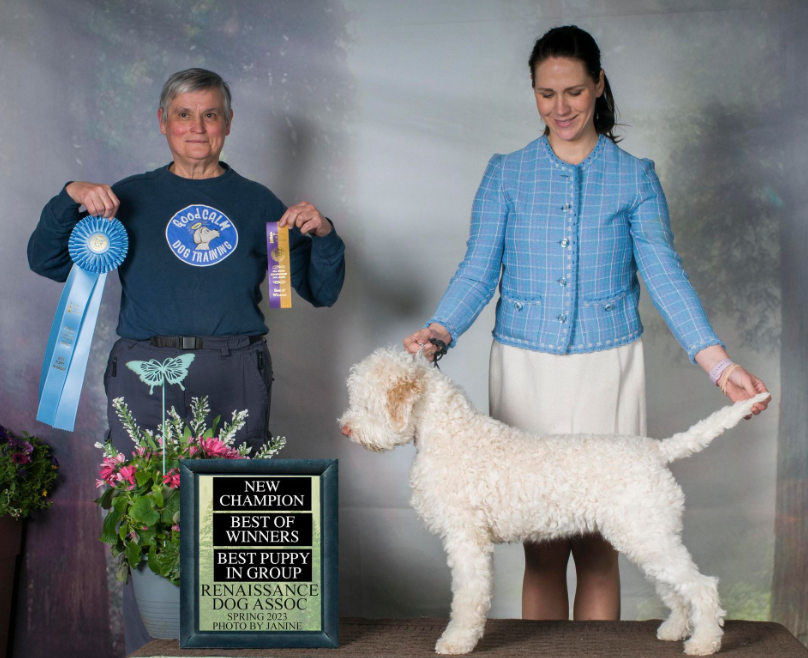 Lorna Olitch, founder of Good Calm Dog Training