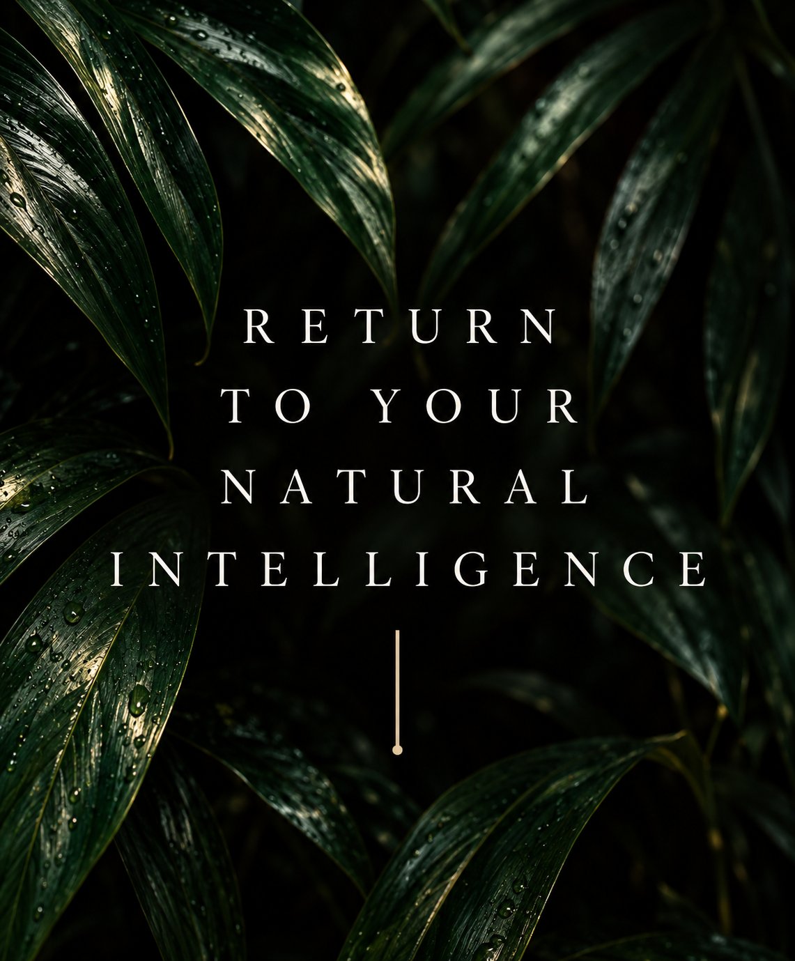 Return to your natural intelligence