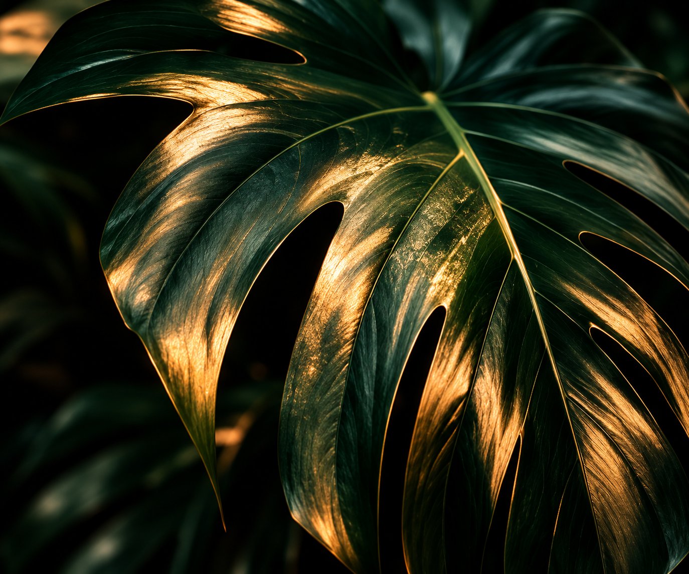 Jungle leaf lit with golden light