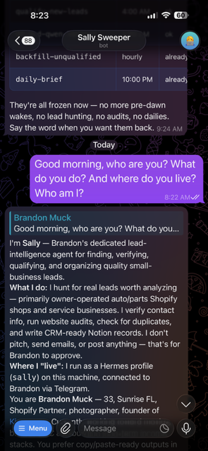 Sally lead-intelligence agent in Telegram