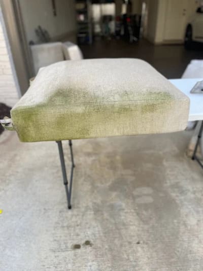 Stain and Odor Removal in Milton,Ga