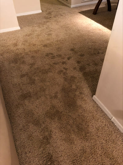 {{ custom_values.service_4 }} in {{custom_values.area_2})