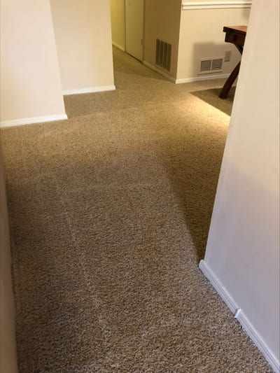 {{ custom_values.service_1 }} in {{custom_values.area_3})