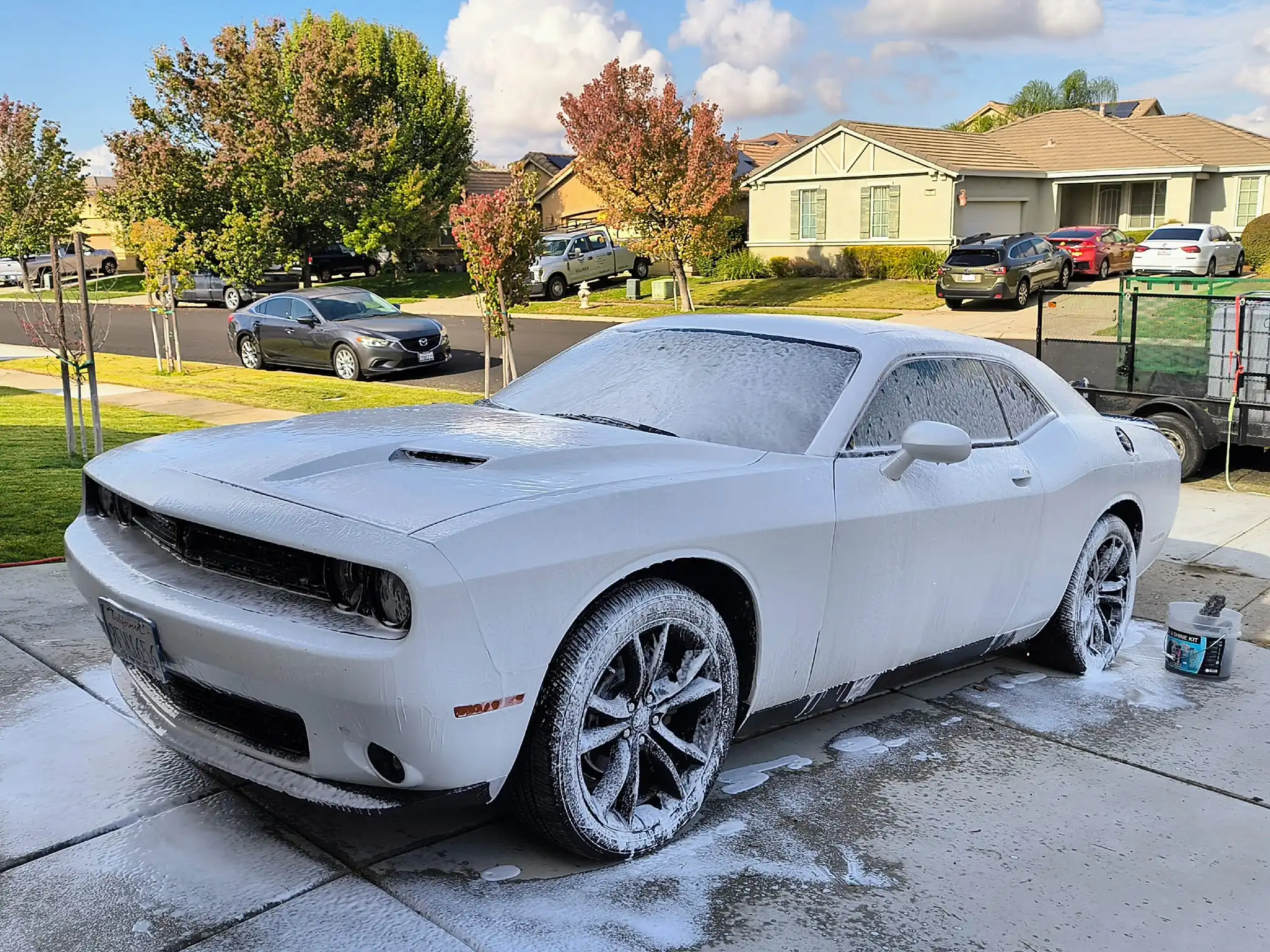 Linda Monthly Detail