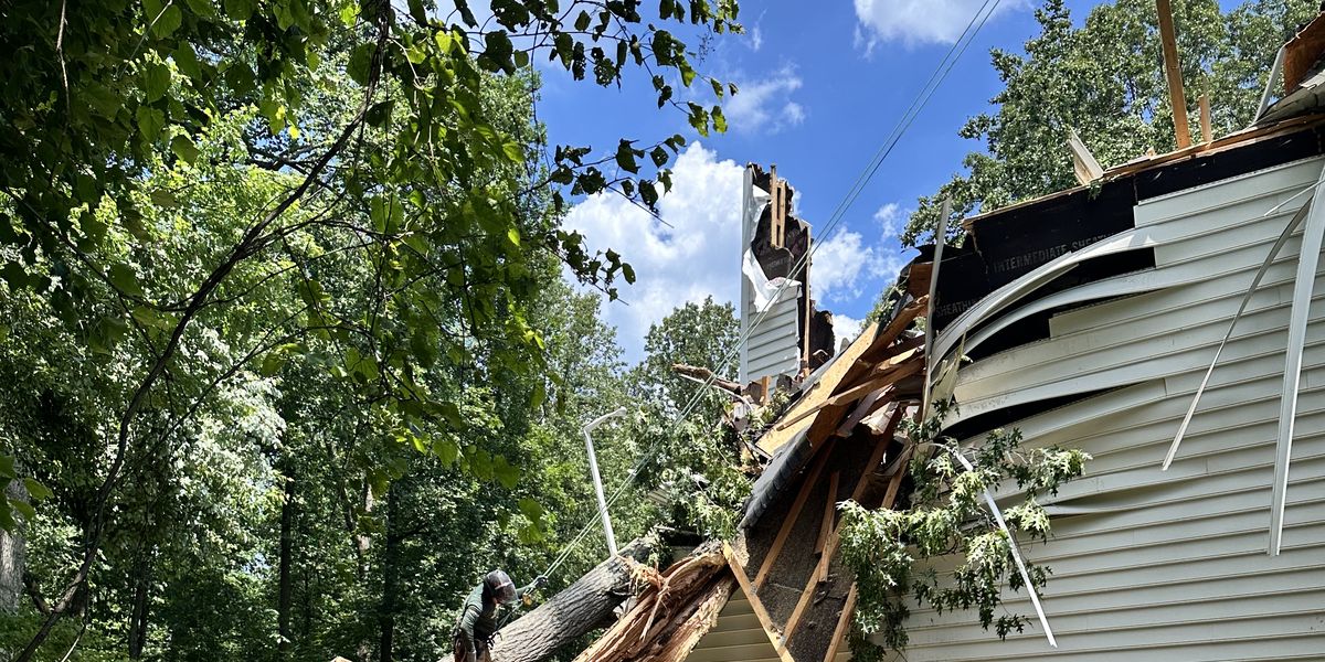 A large tree down across a residential roof after a storm