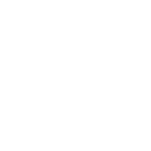 smile icon 