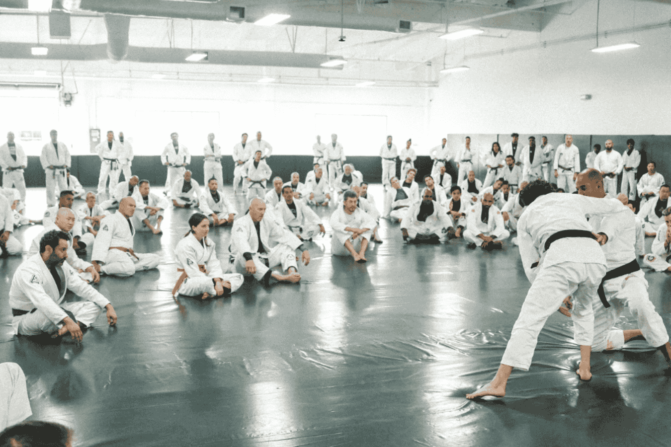 Gracie JJ San Jose