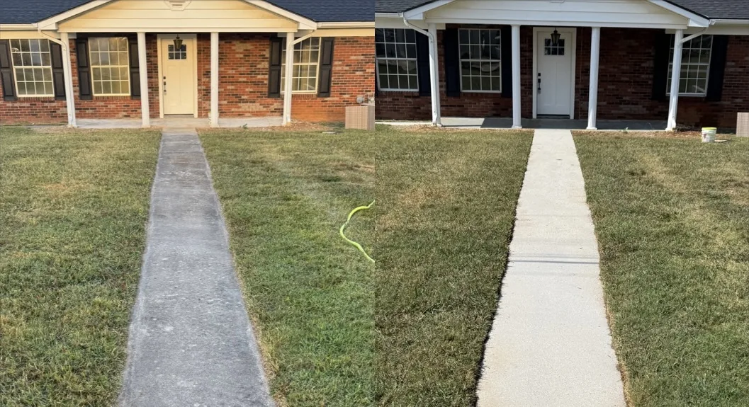 Concrete cleaning — real before and after