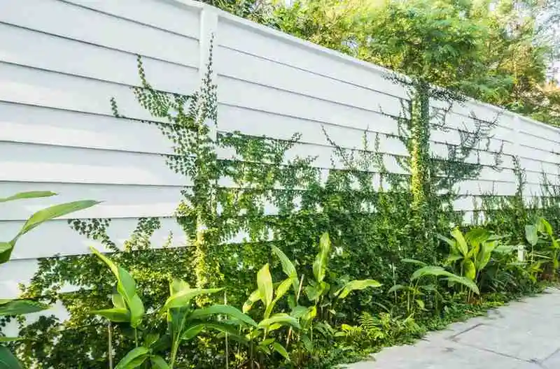 Fence Maintenance Tips for Long-Lasting Beauty