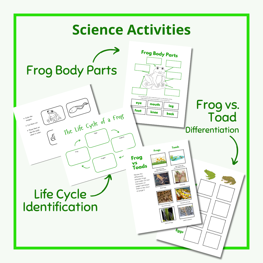 science frog activities for preschool