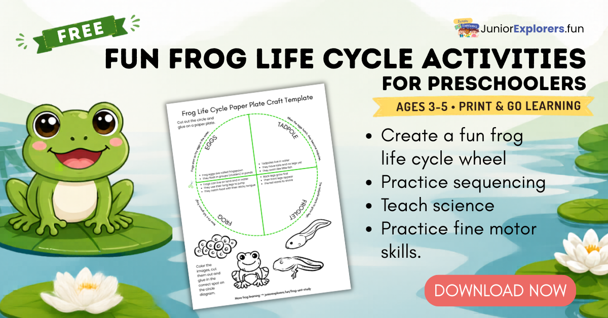 frog life cycle printable for preschool free frog life cycle printable for preschool free