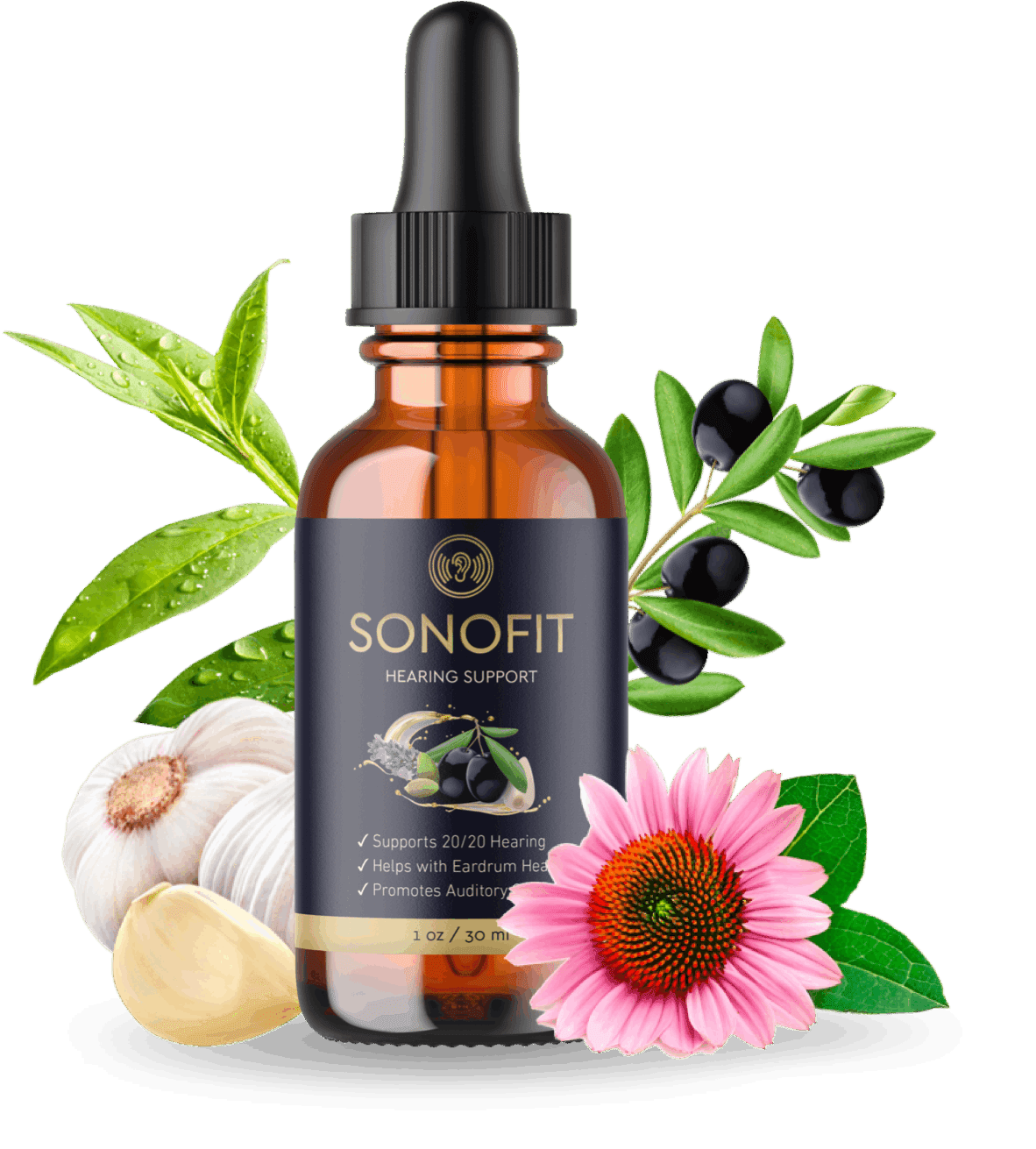 https://sonofitt.co/