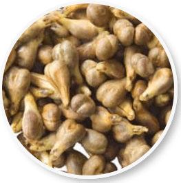 Amiclear Ingredient Grape Seeds