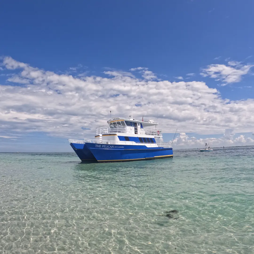 St Pete Boat Rental docked at Egmont Key