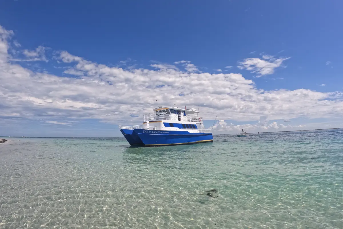 The Pelican St. Pete Boat Tours