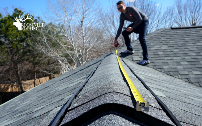 roof cleaning