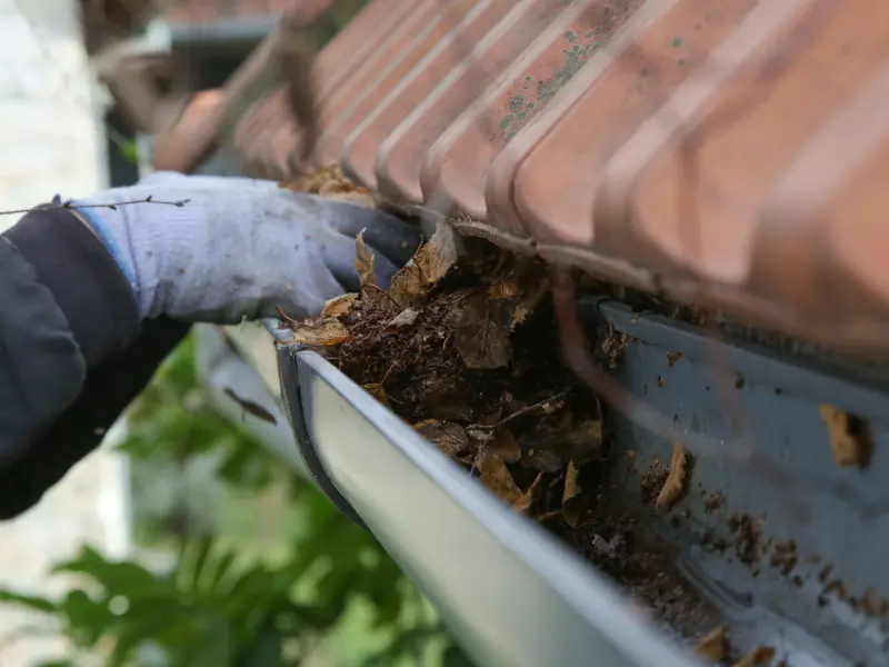 gutter cleaning Spanaway WA