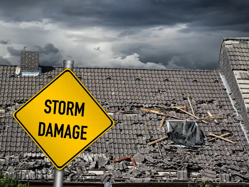 Storm Damage Roof Repair in King County WA: What to Do First