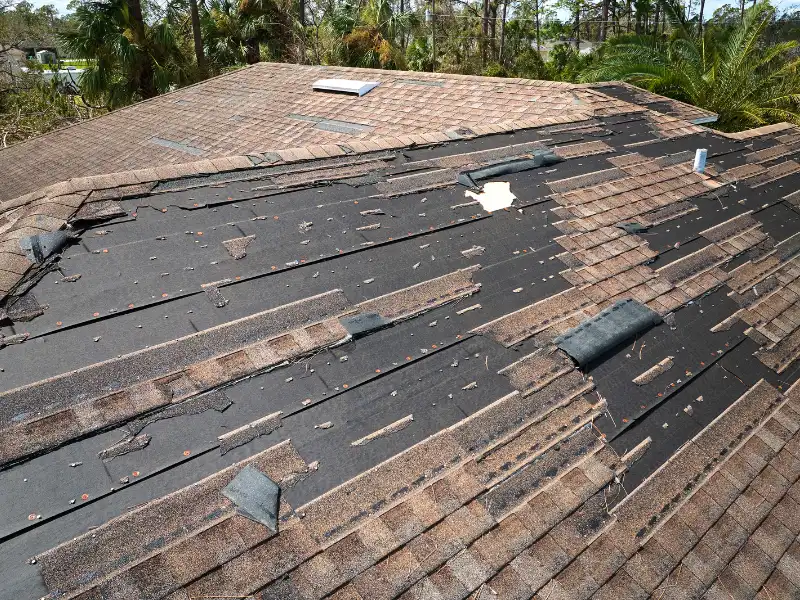 storm damage roof repair king county