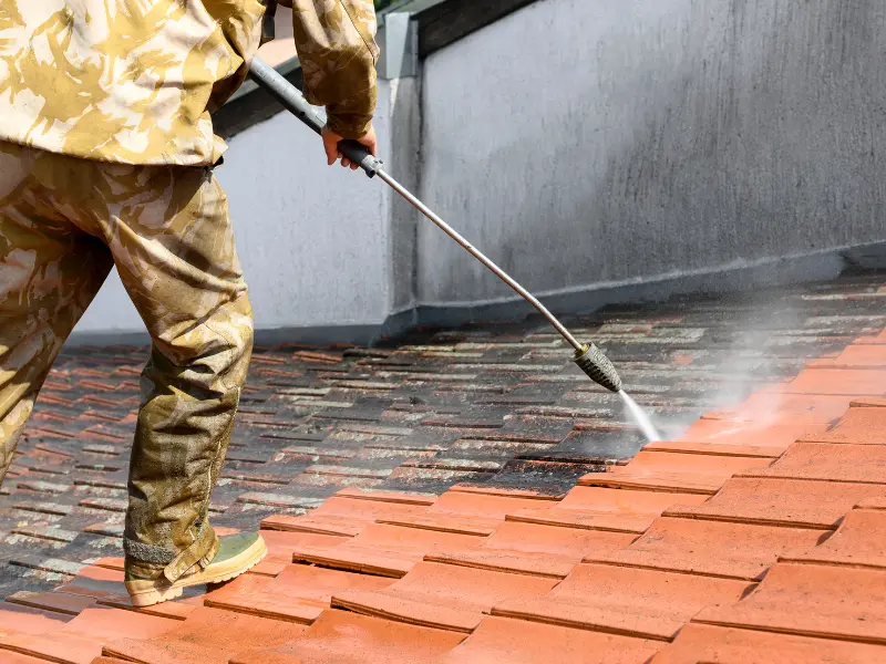 roof cleaning king county roof cleaning king county