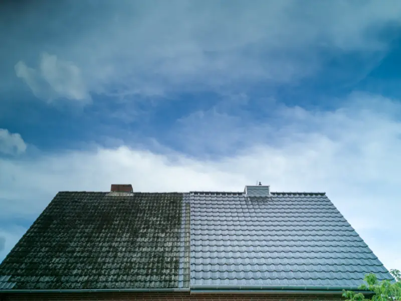 Roof Cleaning in King County WA: Moss Removal, Soft Wash, and What Actually Works