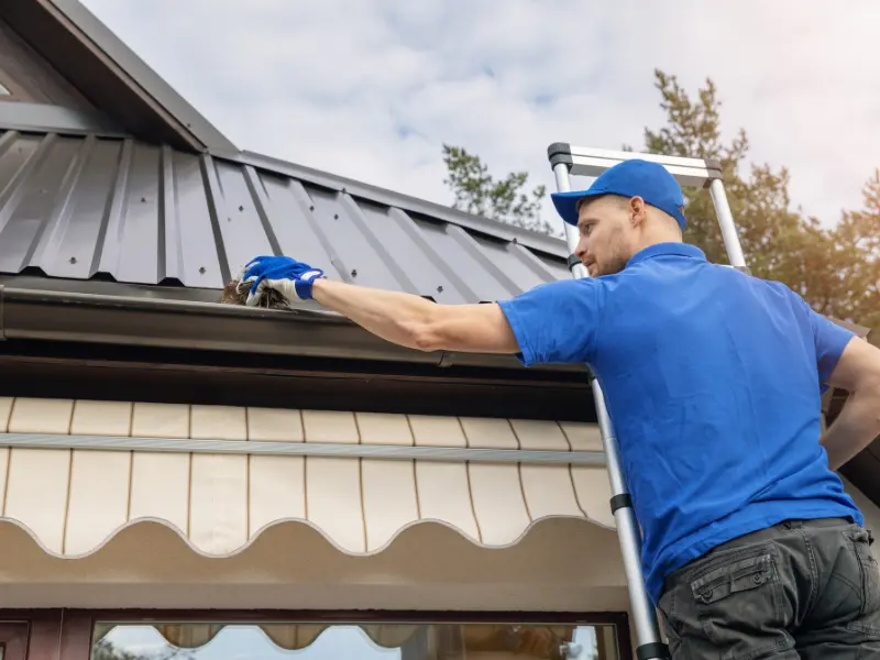 gutter cleaning king county gutter cleaning king county