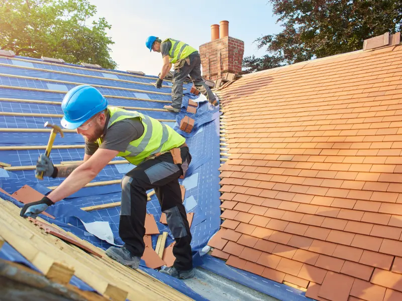Roof Repair in Thurston County WA: Leaks, Emergency Response, and What Repair Actually Costs