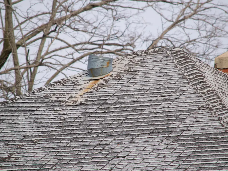 storm damage roof repair Thurston County WA