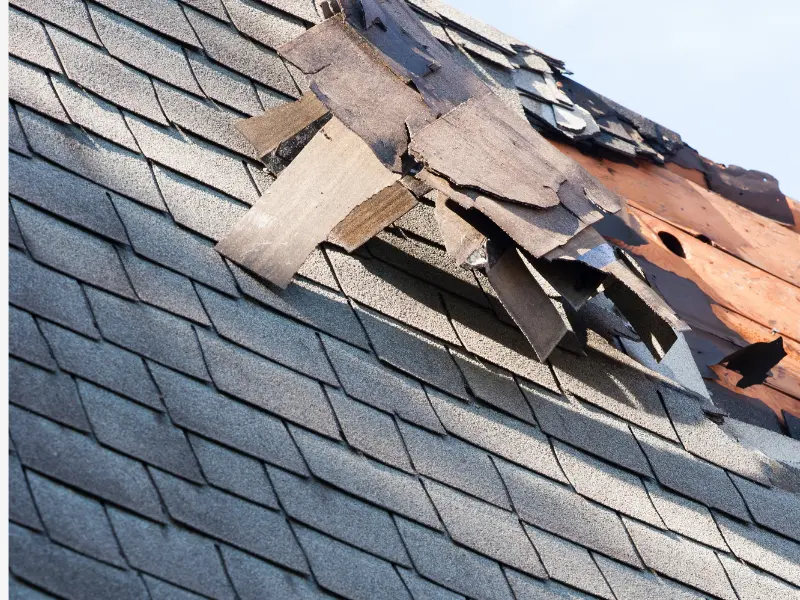 storm damage roof repair Thurston County WA