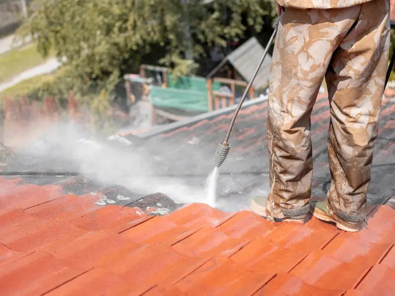 How Much Does Roof Cleaning Cost in Thurston County WA?