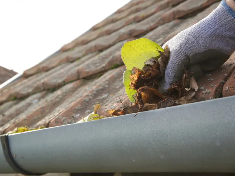 Why Is Gutter Cleaning Important in the Pacific Northwest?