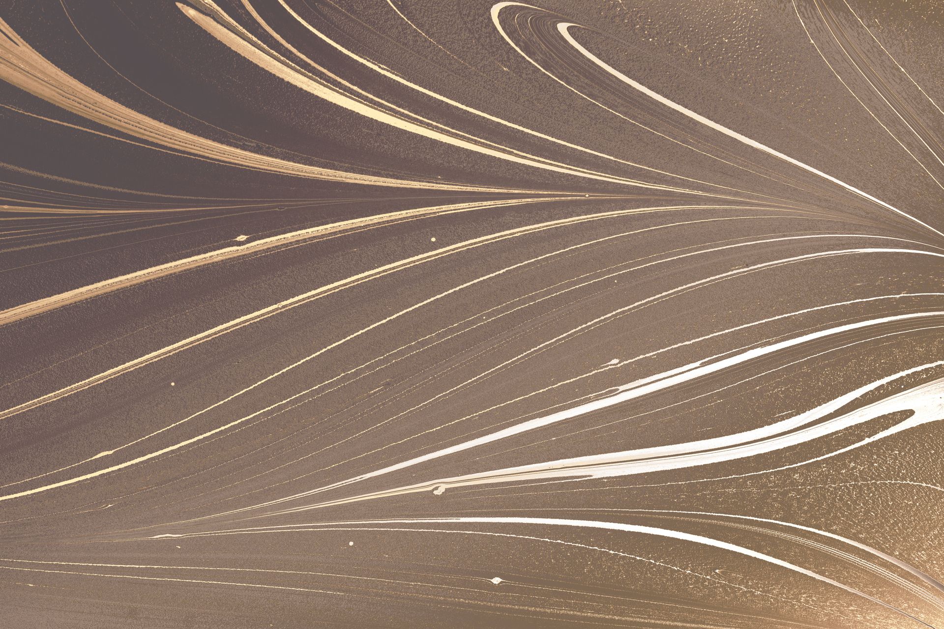 Elegant abstract design featuring golden flowing lines