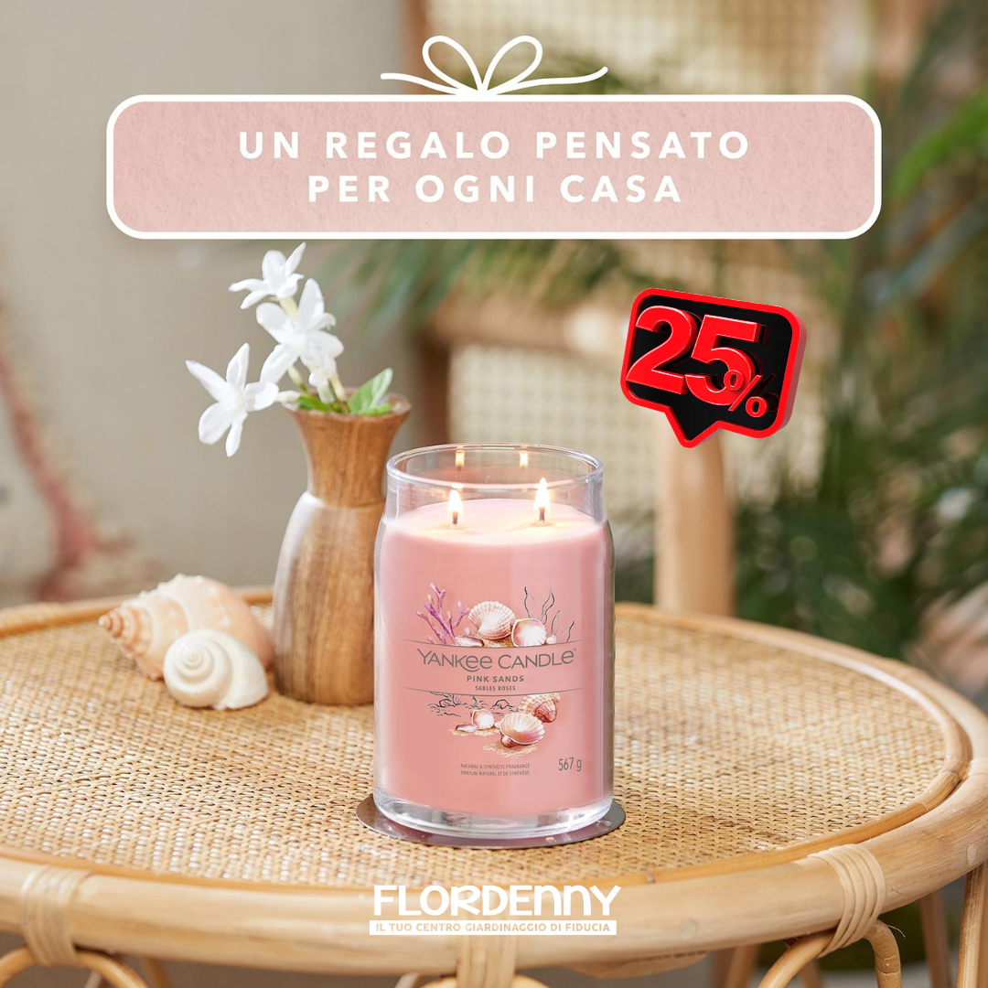 Yankee Candle - Vanilla Cupcake