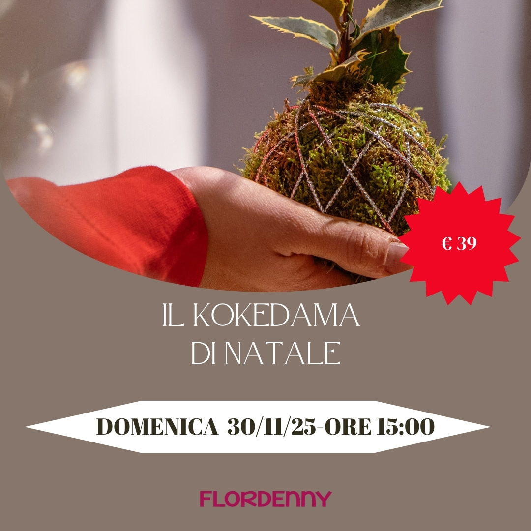 Il Kokedama di Natale