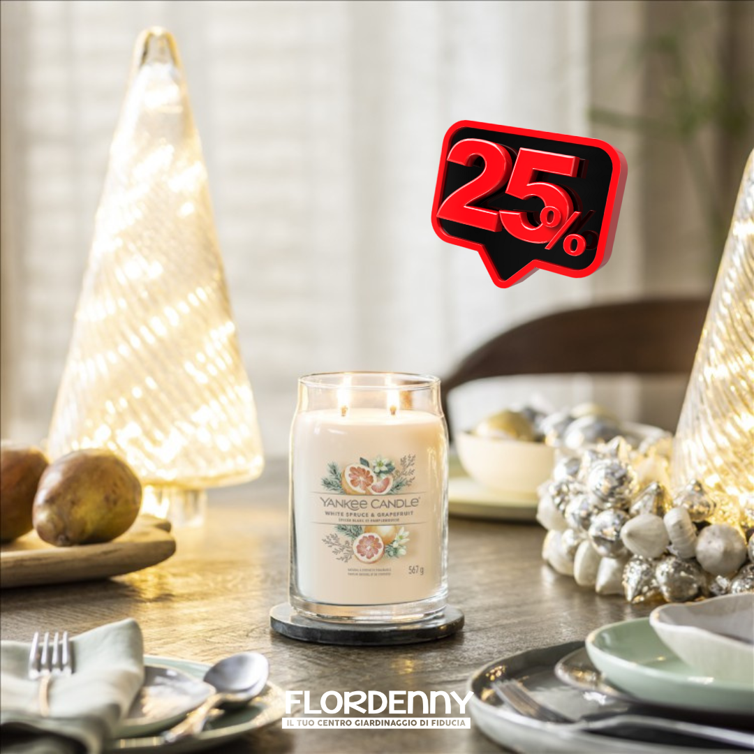 Yankee Candle - Sage & Citrus