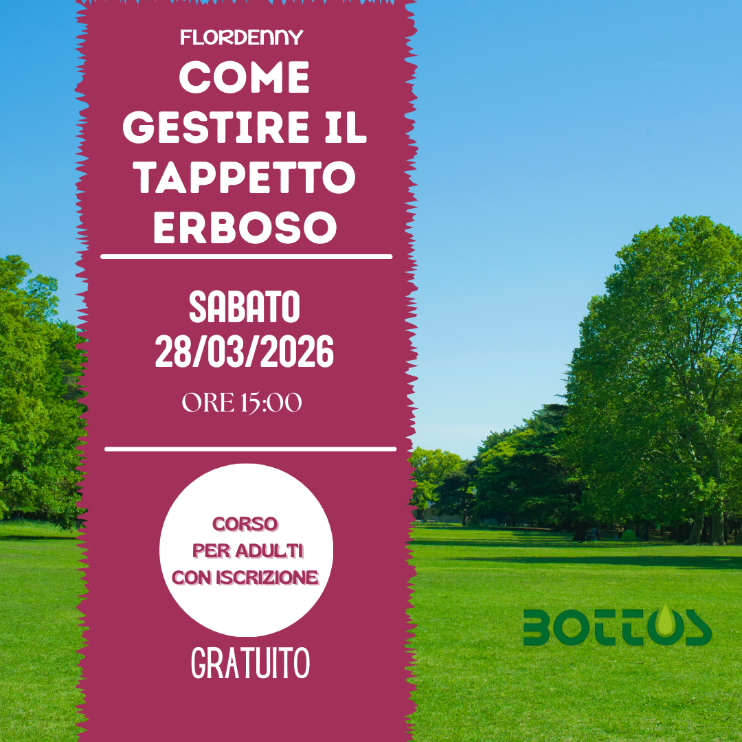 Le salamoie di erbe aromatiche