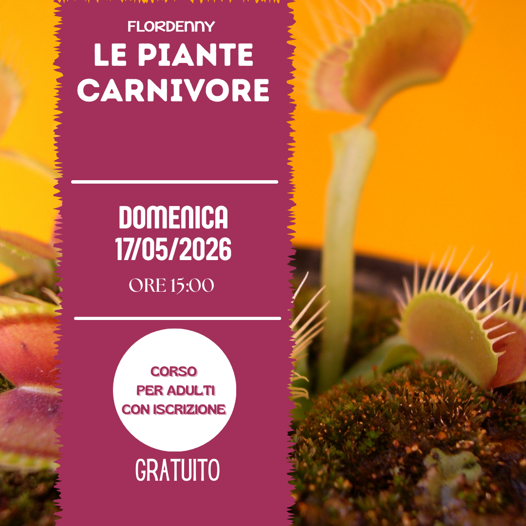 Le salamoie di erbe aromatiche