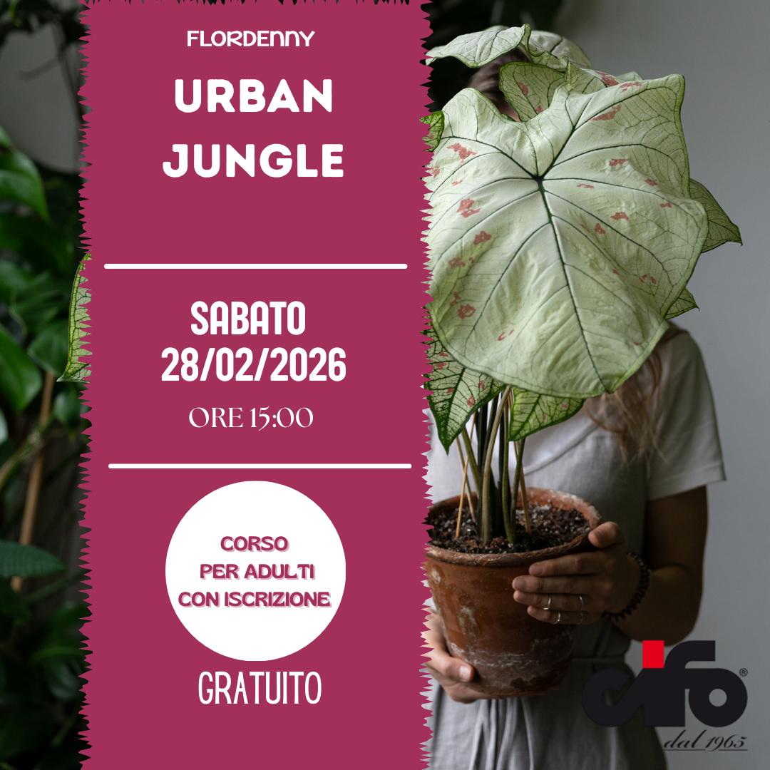 Le salamoie di erbe aromatiche