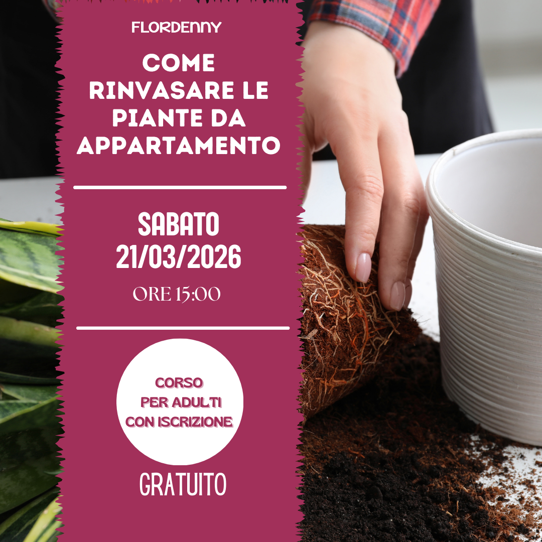 Le salamoie di erbe aromatiche